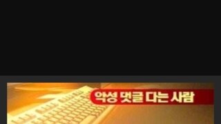 2000년대에 분석한 악플다는 이유 분석