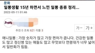 일뽕 생활 15년 하면서 느낀 일뽕 종류
