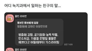 한국에 은행나무 많은 이유
