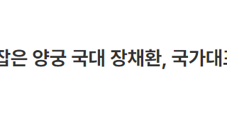 활 대신 SNS 잡은 양궁 국대 장채환, 국가대표 자격 박탈 위기