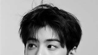 차은우 외모 와 연수익 120억중 둘중 하나를 고른다면