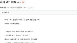 어느 클리앙 유저의 애플 A/S 후기