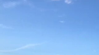 코뿔소가 물러나게 만드는 사파리 가이드