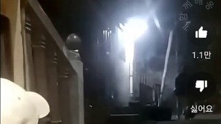 우리가 반려견을 사랑할 수밖에 없는 이유