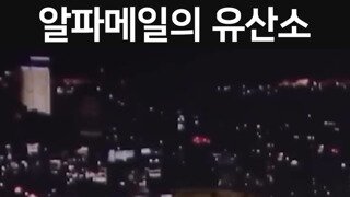 알파메일의 유산소