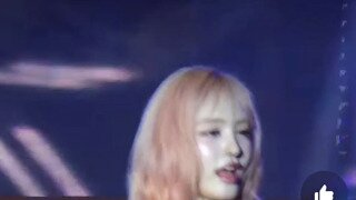 살빼고 리즈 찍은 아이브 리즈