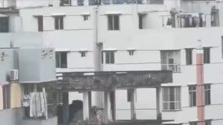외국의 흔한 건설현장.mp4...