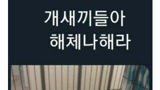 검찰이 해체해달라고 몸부림쳐서 박살을 내야 한다고 합니다