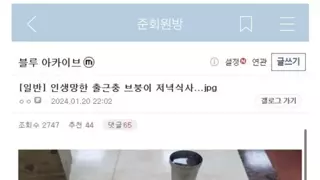 썸네일 이미지