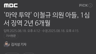 '마약 투약' 이철규 의원 아들, 1심서 징역 2년 6개월