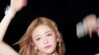 누브라 노출한 베이비몬스터 파리타