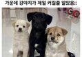 썸네일 이미지