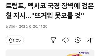 트럼프, 멕시코 국경 장벽에 검은칠 지시...