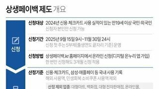 소비 늘면 최대 30만원 환급, '상생페이백' 내달 시행