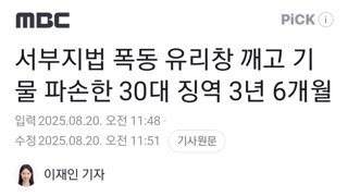 서부지법 폭동 유리창 깨고 기물 파손한 30대 징역 3년 6개월