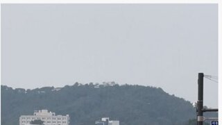 김연경 실물 느낌