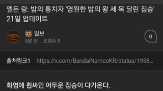 내일 저녁 10시에 나오는 엘든링:밤의 통치자 켈베로스(?)