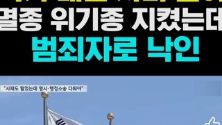 문재인정권흠집내기 검새들만행
