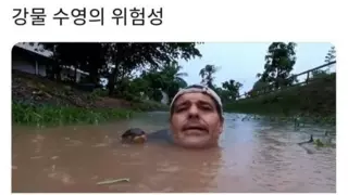 강물 수영의 위험함