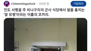 밤마다 밥을 훔쳐가는.jpg