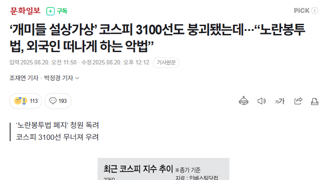 코스피 3100붕괴 노란봉투법악법?