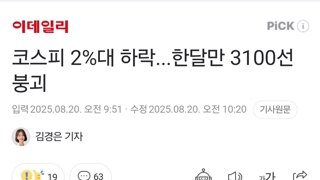 코스피 3100선 붕괴