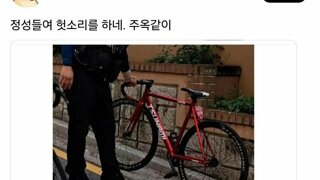 픽시 자전거 근황