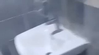 화장실에서 만난 고양이