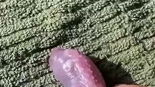 엄마에게 버림받은 고슴도치