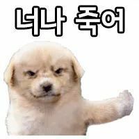 스티커 이미지