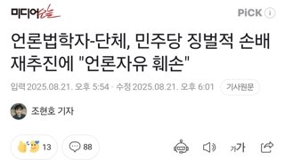 언론법학자-단체, 민주당 징벌적 손배 재추진에 