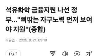 석유화학 금융지원 나선 정부…