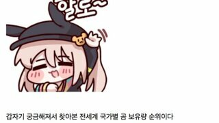 전세계 국가별 곰 보유량 순위