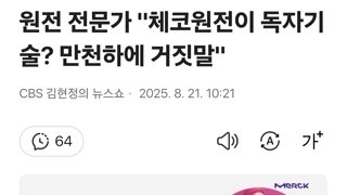원전 전문가 