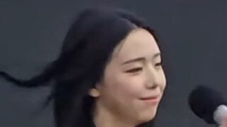 새들의 교미