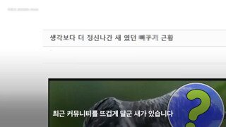 그런 열정이면 그냥 니가 키워라