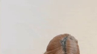 약후 라면은 맛있어