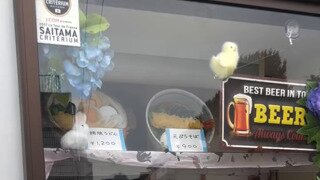 골라봐라냥
