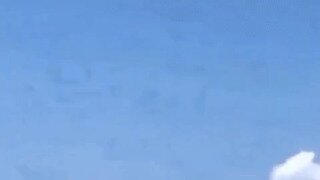 엄마 고래 따라하는 아기 고래.gif