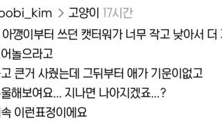 애착 캣타워를 잃었다가 다시 찾은 떼껄룩