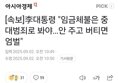 썸네일 이미지