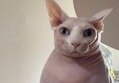 썸네일 이미지