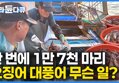 썸네일 이미지