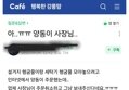썸네일 이미지