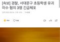 썸네일 이미지
