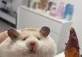 썸네일 이미지