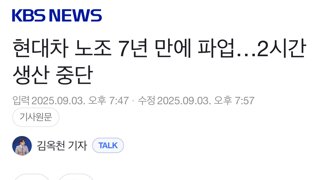현대 자동차 7년만에 파업.. 생산중단