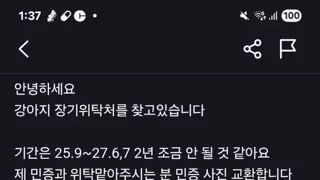썸네일 이미지