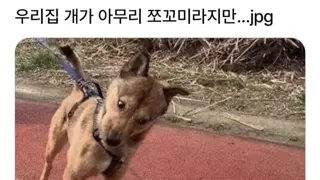 썸네일 이미지