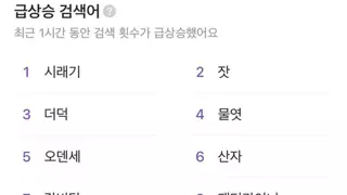 썸네일 이미지